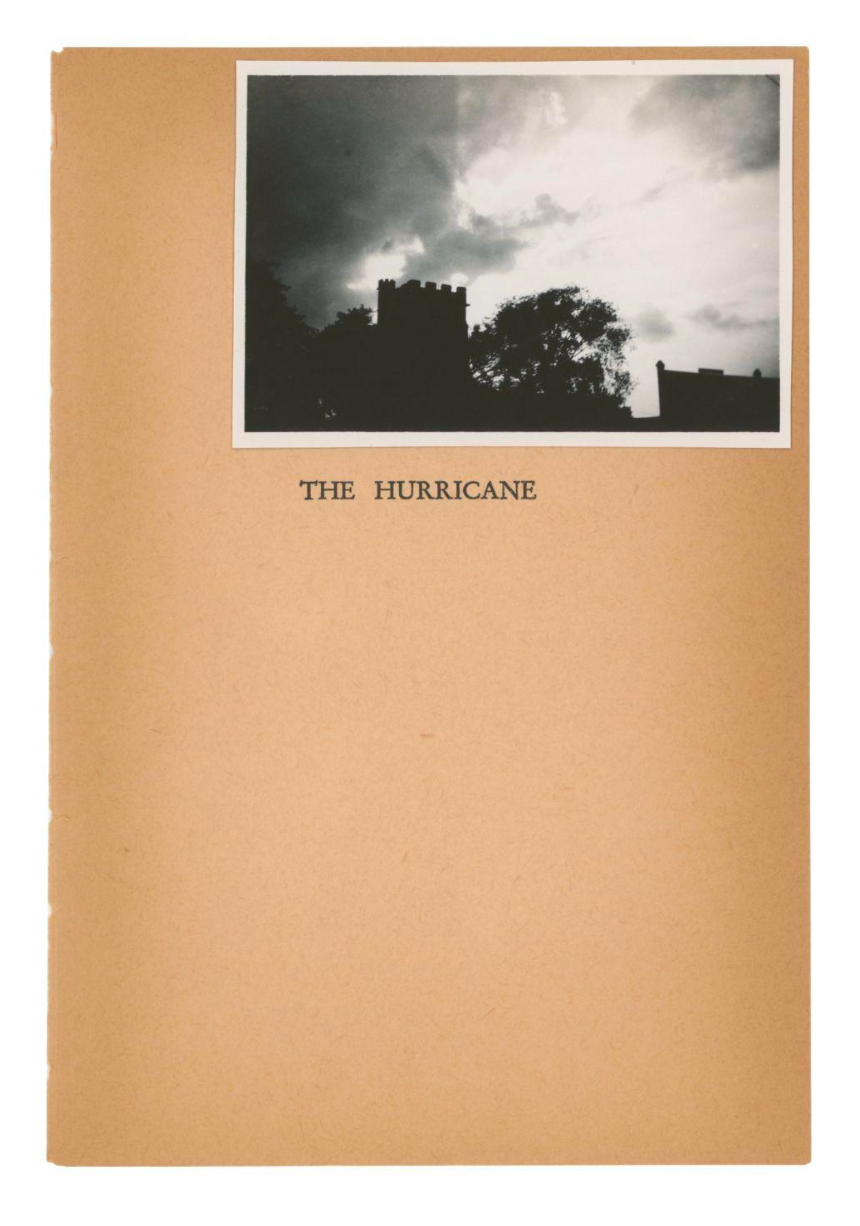 The Hurricane — Adam Brierley