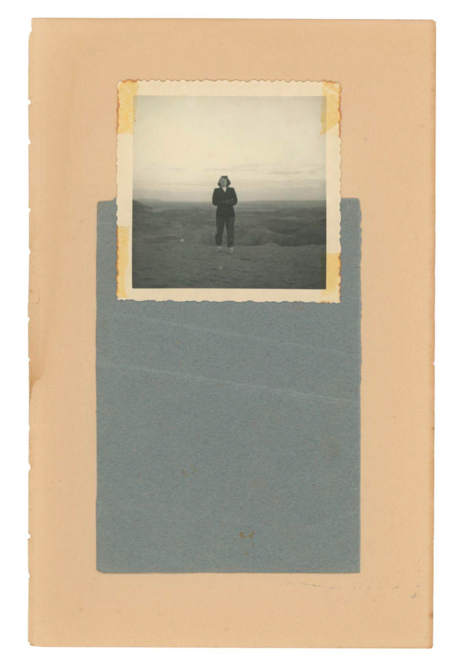 Painted Desert — Adam Brierley