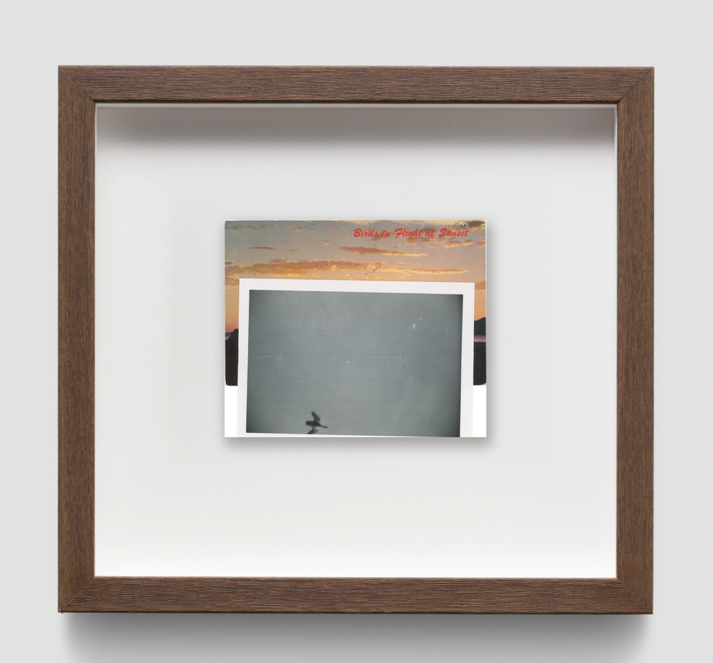 Birds At Sunset — Adam Brierley