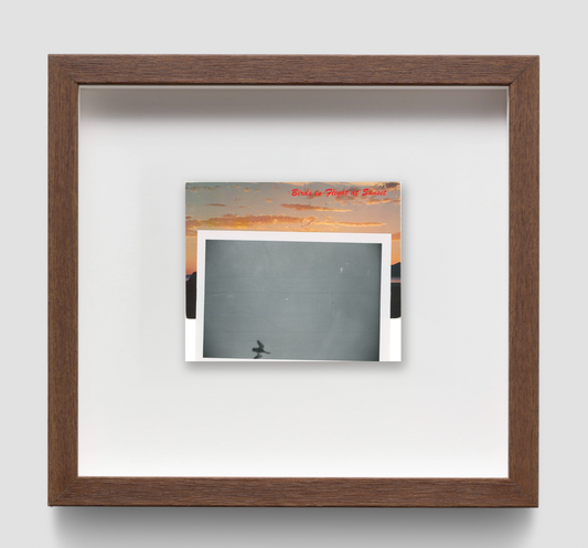 Birds At Sunset — Adam Brierley