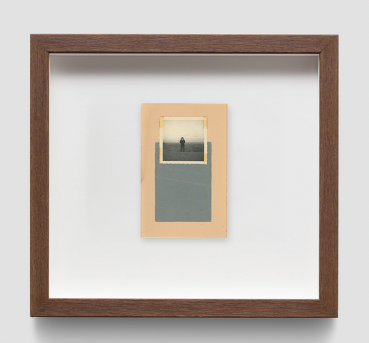 Painted Desert — Adam Brierley